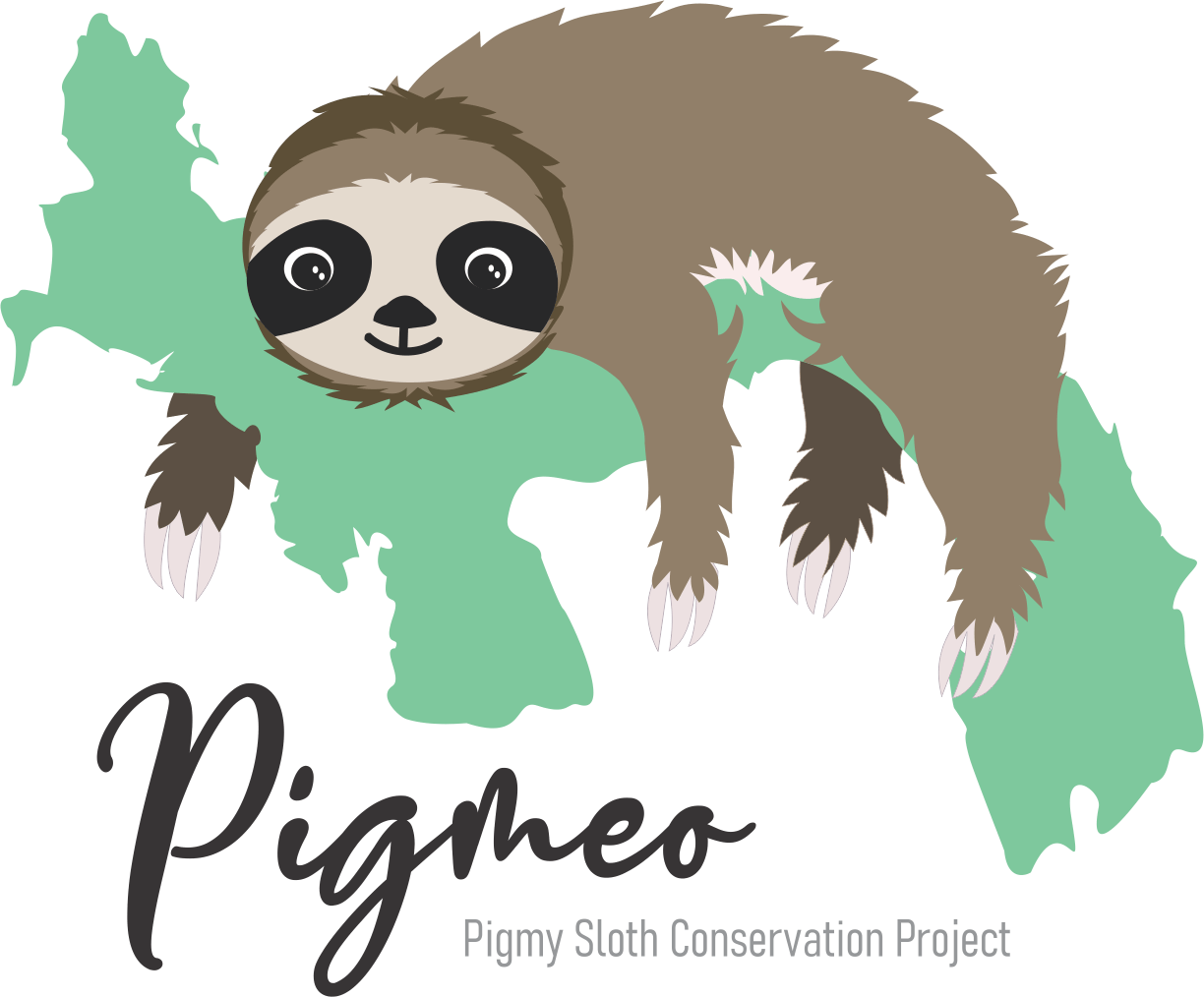 Proyecto para la conservación del Perezoso Pigmeo